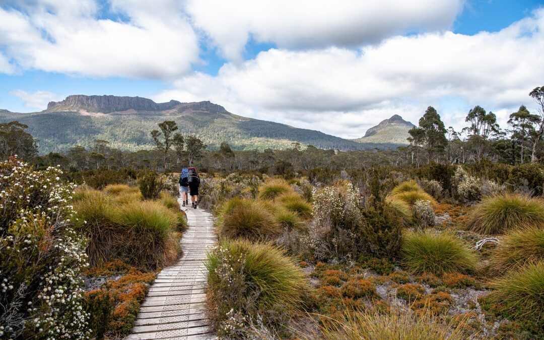 Scenic Hiking Paths – Escape To The Misty Majesty Of…