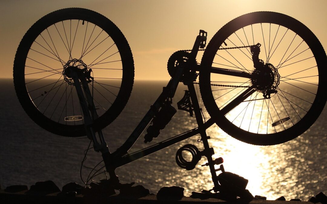 Mountain Biking ~ Get Your Wheels Rolling: A Mountain Biking…