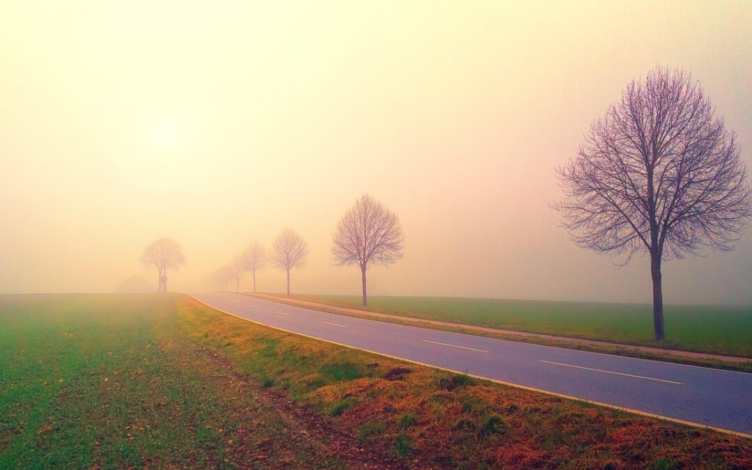 Road Trips | Hit The Road! Adventure Awaits On A…