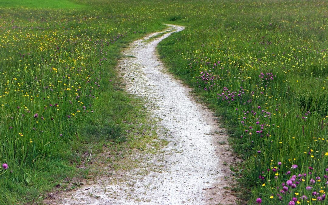 Top Hiking Trails In The U.S. | Lace Up Your…
