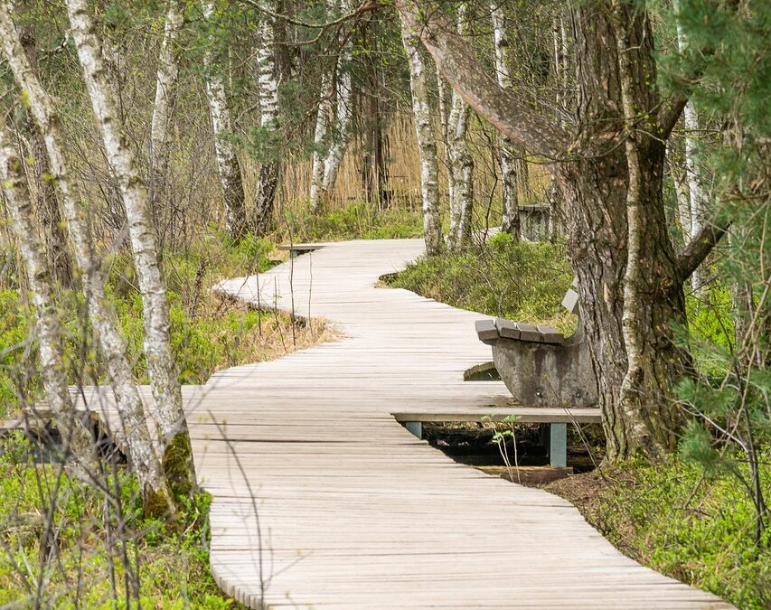 Best National Parks For Adventure » Unleash Your Inner Explorer:…