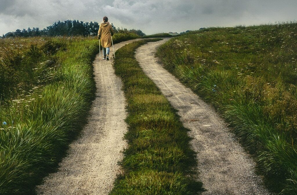 Hiking Trails » Get Your Hiking Boots Ready: Adventure Awaits…