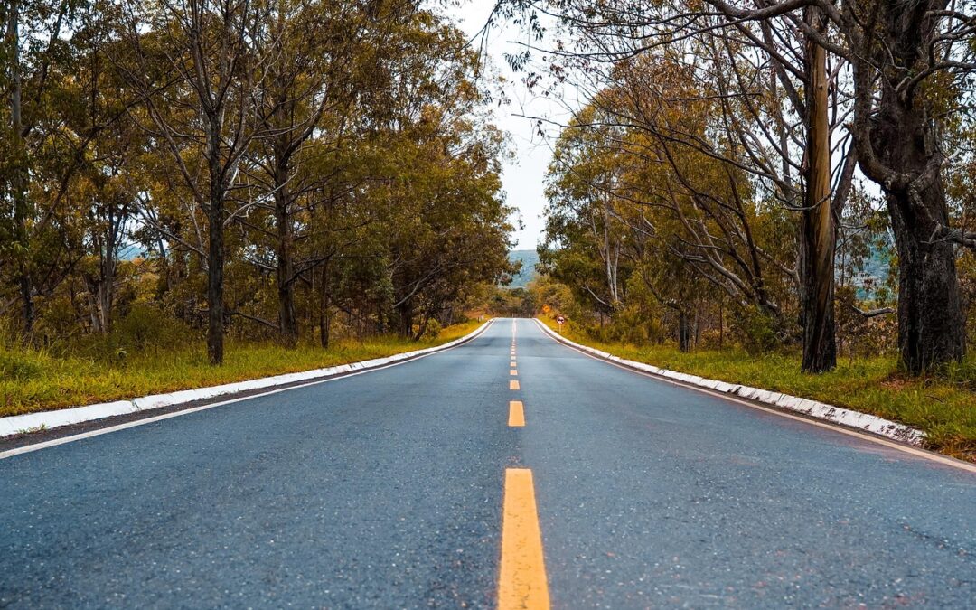 Road Trips » Rev Up Your Engines! Your Ultimate Guide…