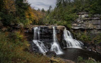 State Forest State Park Hiking Trails: Adventure Awaits: Your Guide…