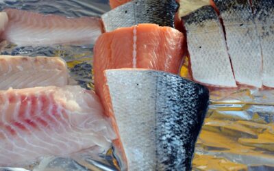Best Bait For Salmon Valdez Alaska » “`markdown Your Ultimate…