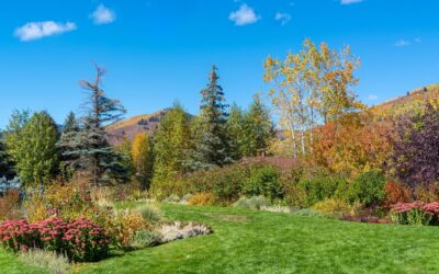 Colorado Scenic Snowcat Rides: Embark On An Unforgettable Colorado Adventure!…