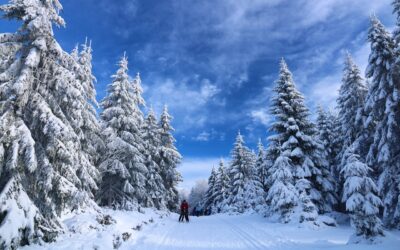 Steamboat Ski Resort Winter Skiing: Your Next Big Adventure Awaits!…
