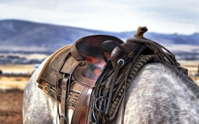 Steamboat Springs Rodeo Events Schedule | Your Summer Adventure Awaits:…