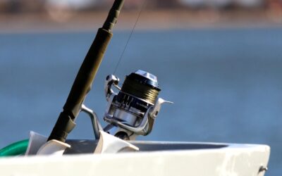 Valdez Fishing Tips For Halibut – TL;DR – Your Ultimate…