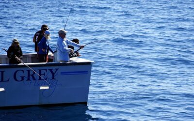 Outdoor Activities ~ Escape The Ordinary: Adventure Awaits In The…