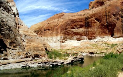 Horseback Riding: Explore The Beautiful Landscapes On Horseback.: Ride Into…