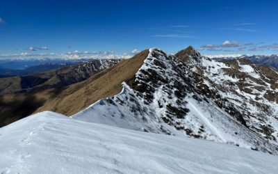 Snowcat Group Tours For Beginners – Ready For An Epic…